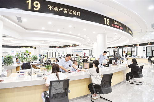 對話丨形成狠抓落實的好局面——聚焦物業(yè)管理（不含保安服務）