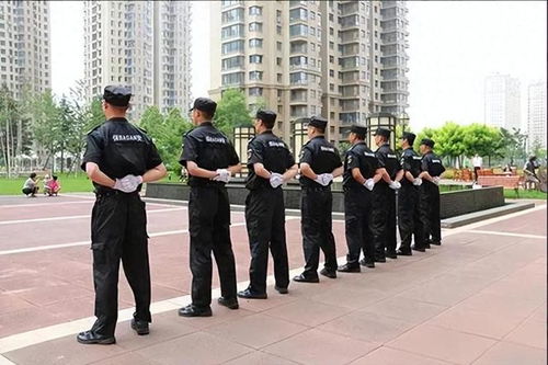 保安個人行為風波后的物業管理反思 服務邊界與社區和諧